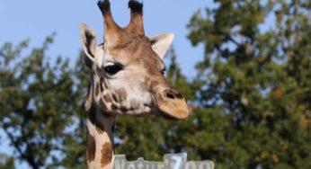 Natur’Zoo de Mervent moins cher ! à partir de 20,90€ (2 personnes)