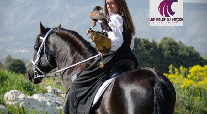 Parc animalier les Aigles Du Verdon moins cher