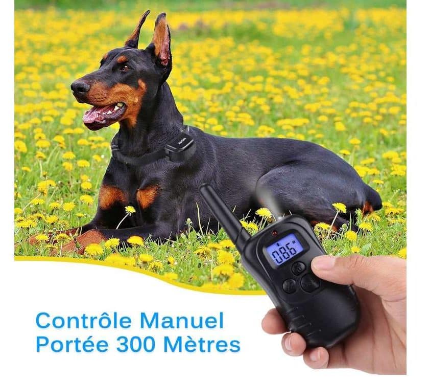 collier de dressage de chien avec télécommande Green Joy