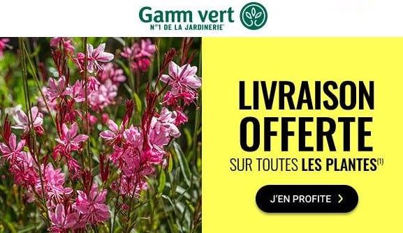 Livraison Gratuite Sur Toutes Les Plantes Sur Gamm Vert