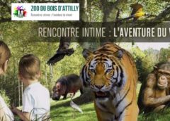 Zoo du Bois d'Attilly moins cher