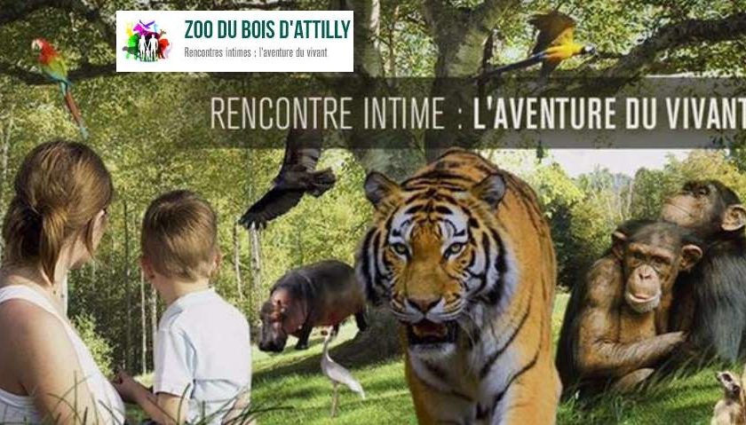 Zoo du Bois d'Attilly moins cher