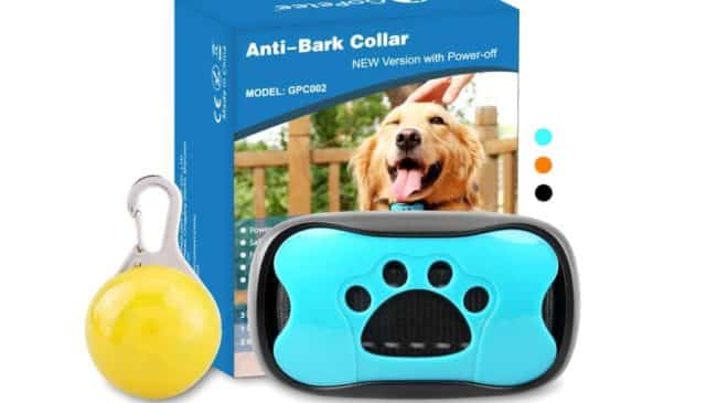 collier anti aboiement automatique pour chien GoPetee pas cher