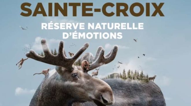 Parc Animalier de Sainte-Croix moins cher