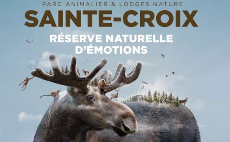 Parc Animalier de Sainte-Croix moins cher