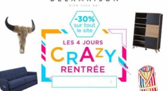 -30% de remise sur tout le site Delamaison (jusqu’à lundi)