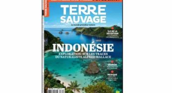 Abonnement magazine Terre Sauvage pas cher 55€ les 12 numéros au lieu de 82€