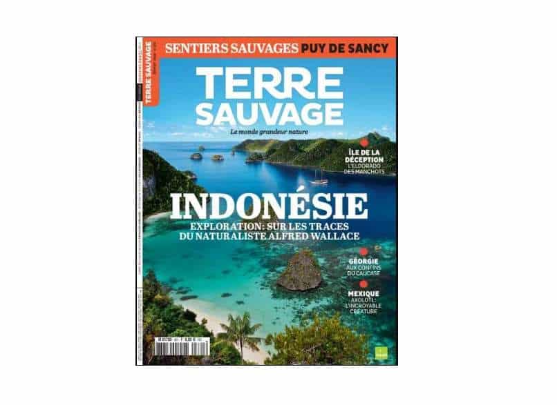 Abonnement magazine Terre Sauvage pas cher 35€ les 12 numéros au lieu de 82€