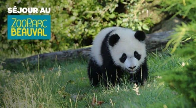 Séjour Les Hauts de Beauval et entrée ZooParc Beauval moins cher