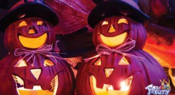 Billet d’entrée pas cher Parc Le Fleury – Halloween 🎃 15€ (2 personnes) 24,9€ (famille)