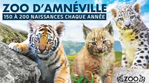 Zoo Amnéville moins cher