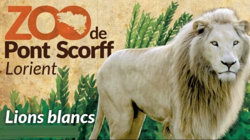 Zoo de Pont Scorff moins cher