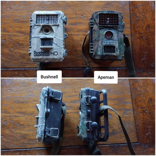 Comparatif Bushnell camera Apeman