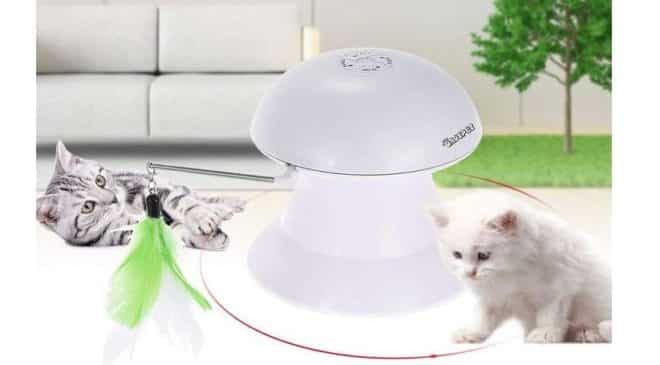 jouet électrique pour chat DADYPET 2 en 1 rechargeable