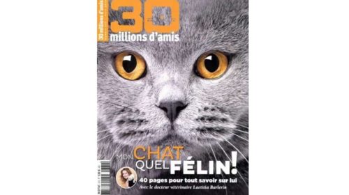 Abonnement 30 Millions d'Amis pas cher