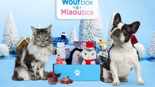 Animal box de Noel (Miaou box - Wouf box) moitié prix