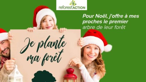 planter ou offrir un arbre à planter en ligne avec Reforest'Action