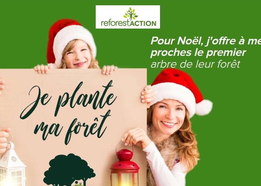 planter ou offrir un arbre à planter en ligne avec Reforest'Action