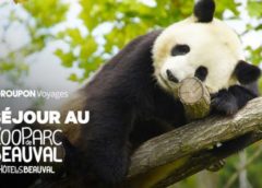 Séjour Les Hauts de Beauval et entrée ZooParc Beauval moins cher