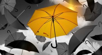 15% supplémentaires sur tous les parapluies en soldes sur Le Monde Du Parapluie