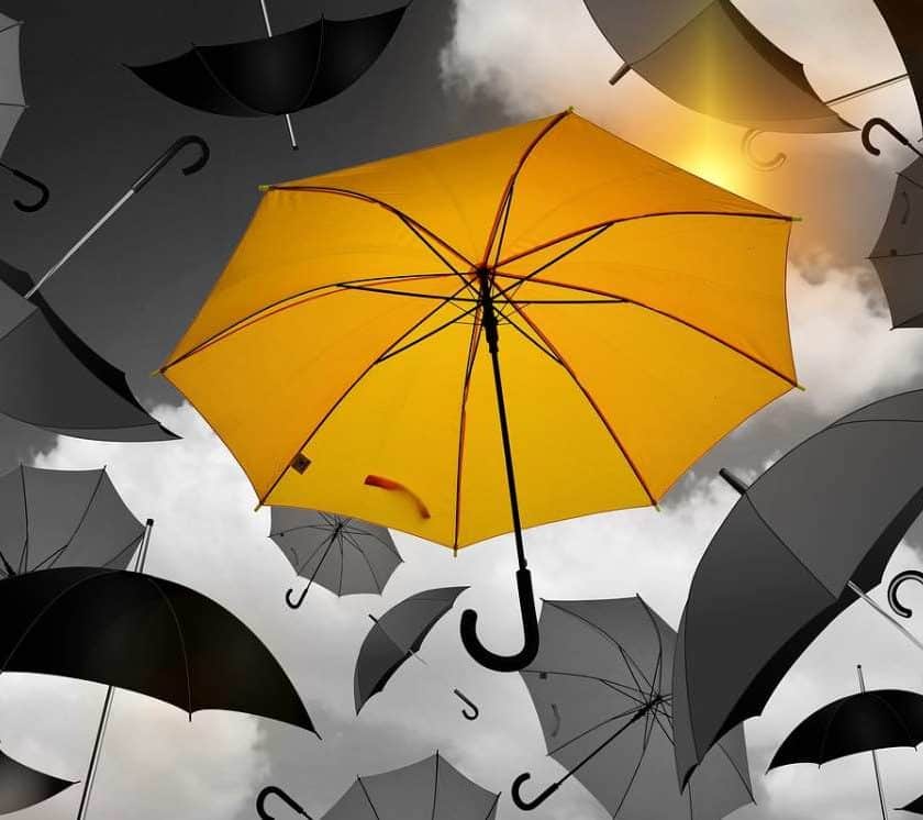 Tous les parapluies en soldes sur Le Monde Du Parapluie