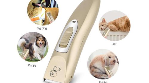 tondeuse à poils chien Haofy rechargeable