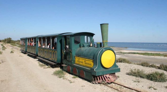 Billet Petit Train de Mejanes en Camargue pas cher