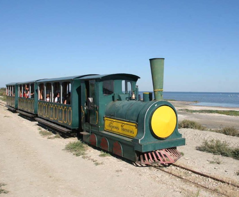 Billet Petit Train de Mejanes en Camargue pas cher