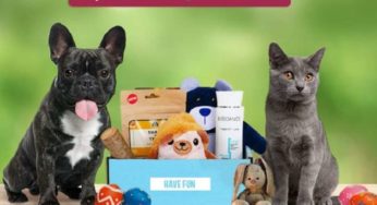 Bons achats Shop Wouf, Miaou box ou Wouf box : 3€ pour 12€ d’achat de produits ou box pour animaux