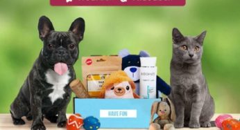 Coffret cadeau pour animal moitié prix : 7,95 € la Wouf box ou Miaou box