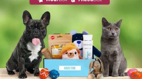 Coffret cadeau pour animal moitié prix Wouf box ou Miaou box