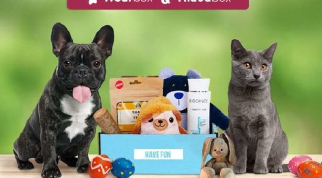 Coffret cadeau pour animal moitié prix Wouf box ou Miaou box