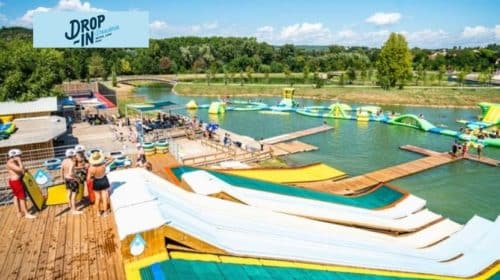 Drop in Dracénie Water Jump moins cher