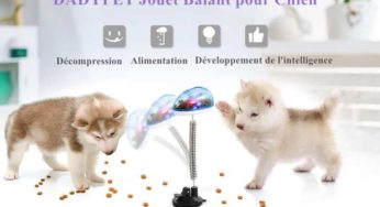 Moins de 11€ le jouet sur ressort distributeur de croquettes Dadypet (lumineux)