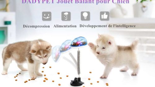 jouet sur ressort distributeur de croquettes Dadypet