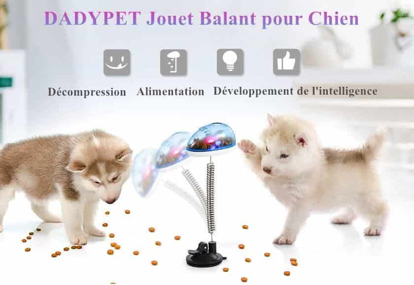 jouet sur ressort distributeur de croquettes Dadypet