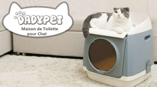 maison bac à litière pour chat 2 étages Dadypet