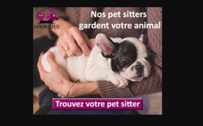 MALIN : Animaute la plateforme pour la garde d’animaux, promenades ou visites d’animaux en France