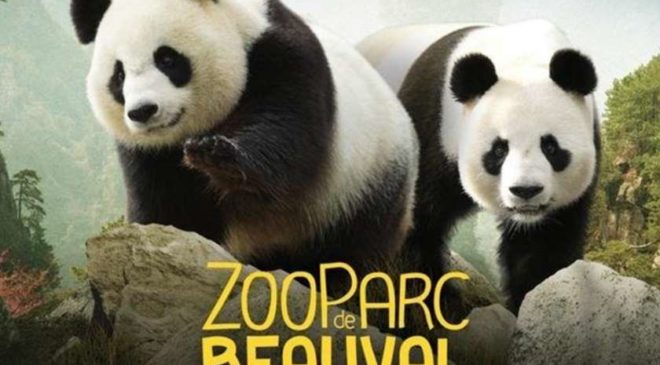 Billet 2 jours pour le ZooParc de Beauval moins cher