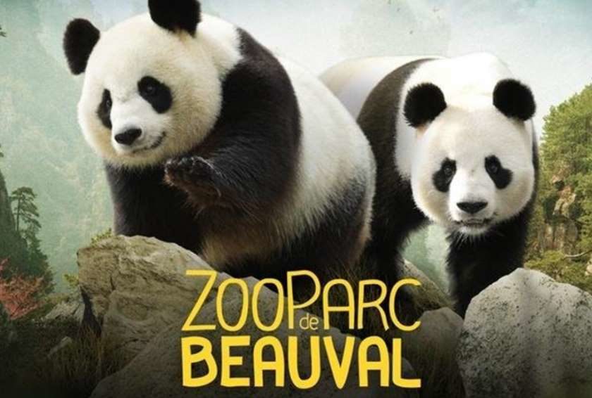 Billet 2 jours pour le ZooParc de Beauval moins cher