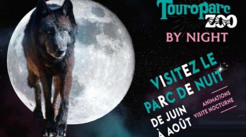 Billet nocturne Touroparc moins cher