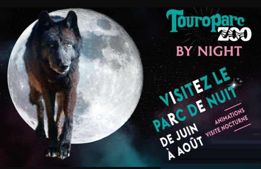 Billet nocturne Touroparc moins cher : dès 13,50 € (les samedis en juin, juillet et aout)