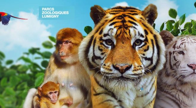 Parcs Zoologiques Lumigny pas chers