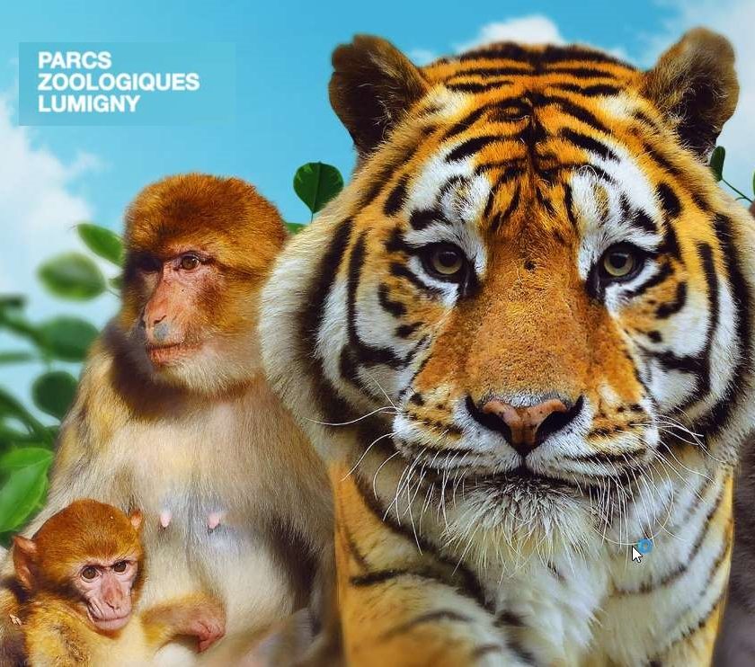 Parcs Zoologiques Lumigny pas chers