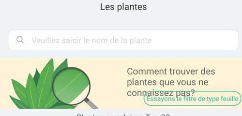 recherche plante Flower Care Plant Monitor Bluetooth Vistefly 