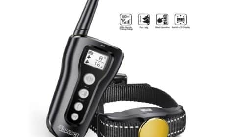 collier de dressage de chien anti-aboiement avec télécommande Dadypet