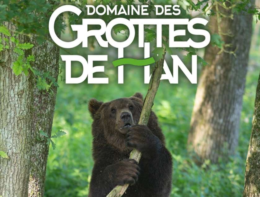 Pass domaine des Grottes Han en Belgique pas cher : 27,50€ (visite grotte et parc animalier)