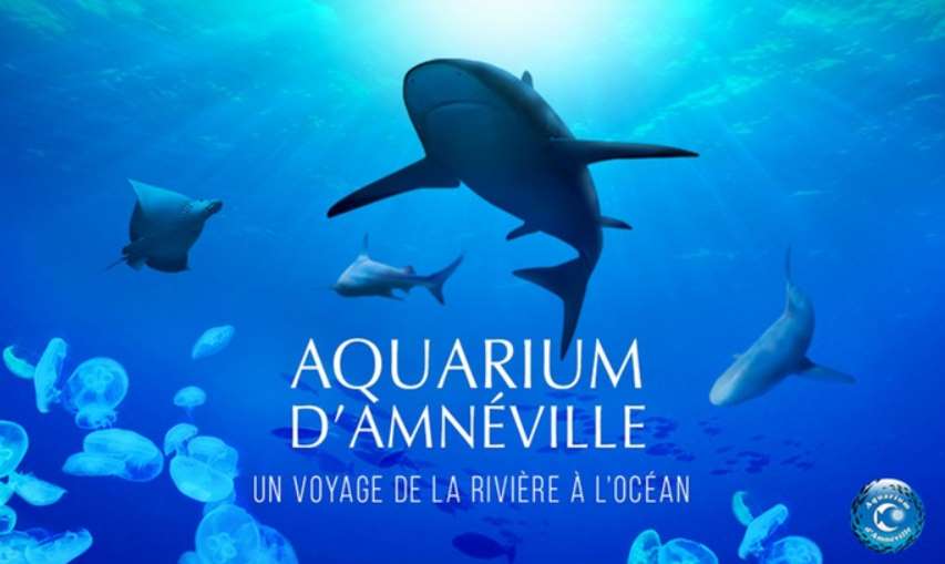 Billet entrée Aquarium d’Amnéville pas cher : 9,9€ au lieu de 14€