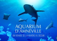 Billet entrée Aquarium d'Amnéville pas cher