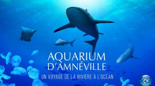 Billet entrée Aquarium d'Amnéville pas cher